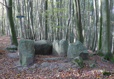 Foto Großsteingrab 'Pfenniggrab'
