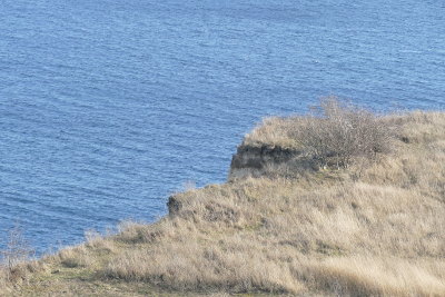 Foto Küstenabbruch Kap Arkona von oben