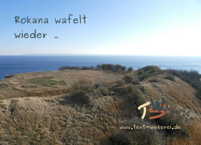 Das Cover zum Krimi 'Rokana wafelt wieder' 