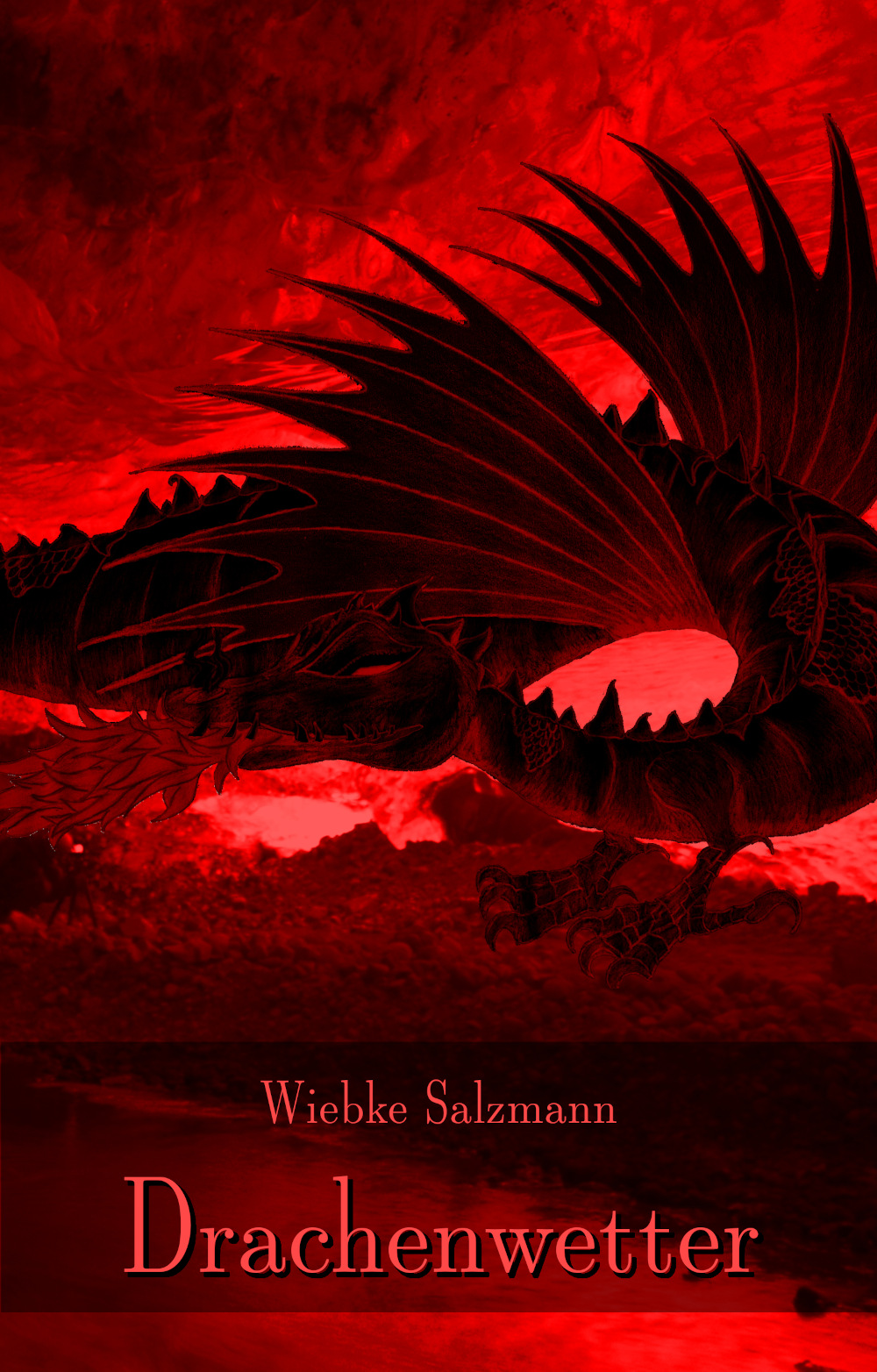 Cover des Buches