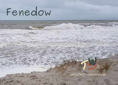 Das Cover zum Krimi 'Fenedow' 