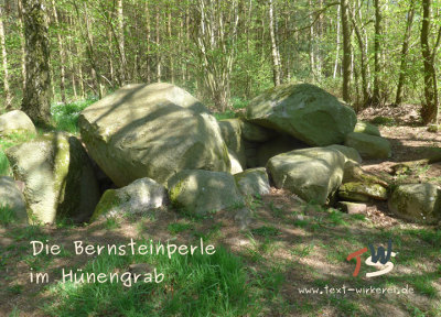 Das Cover zum Krimi 'Die Bernsteinperle im Hünengrab' 