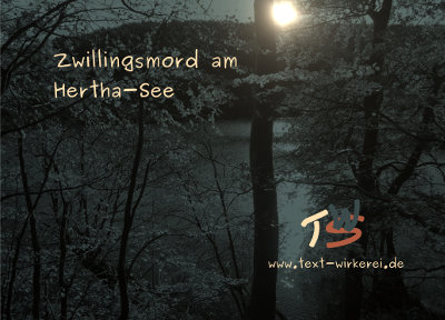 Das Cover zum Krimi 'Zwillingsmord am Hertha-See' 