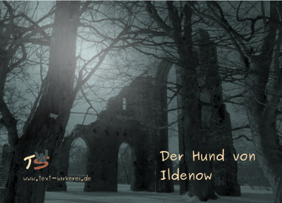 Das Cover zum Krimi 'Der Hund von Ildenow' 