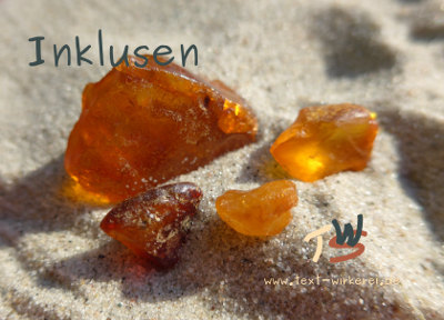 Das Cover zum Krimi 'Inklusen' 