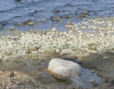 Foto Siebenschneiderstein bei Kap Arkona