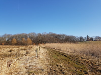 Blick über die Recknitzwiesen auf den Hügel mit dem Slawenwall