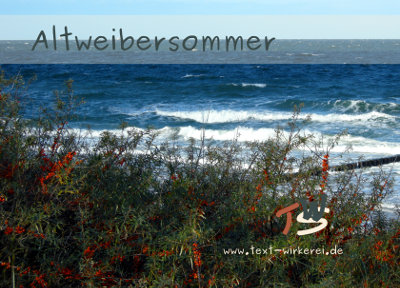 Das Cover zum Krimi 'Altweibersommer' 