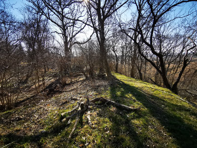 auf dem inneren Wall der Slawenburg in Pantlitz