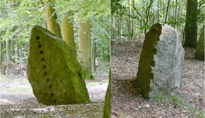 Foto eines der größeren Steinkreise 