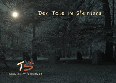 Das Cover zum Krimi 'Der Tote im Steintanz' 