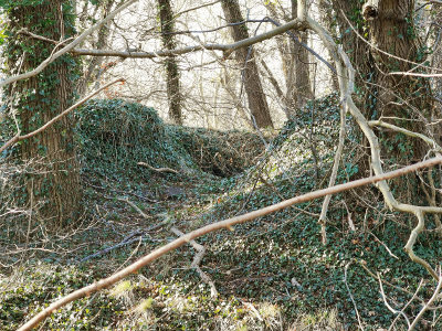 Blick auf den Wall auf dem Turmhügel